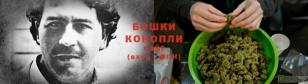 гидропоника Бородино
