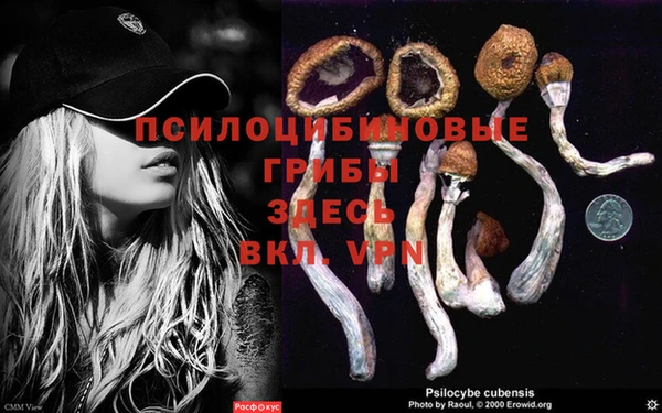 гидропоника Бородино
