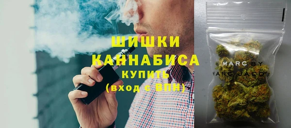 гидропоника Бородино
