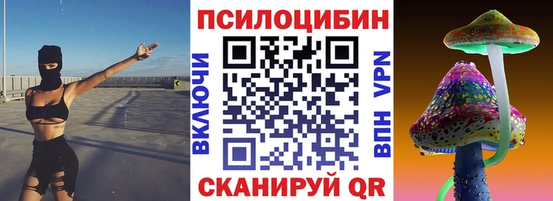 сколько стоит Разумное Псилоцибиновые грибы GOLDEN TEACHER